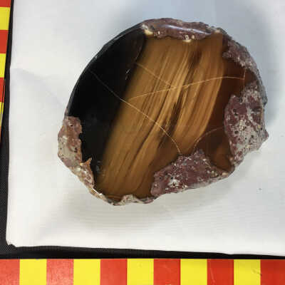 Bruneau Carmel Jasper