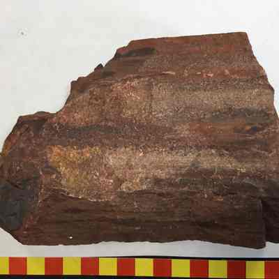 Banded Iron Formation