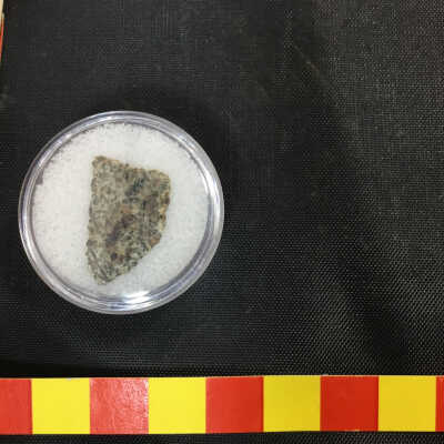 Erg Chech 002 Meteorite