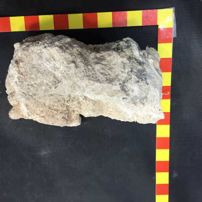 Fossil Algae Reef