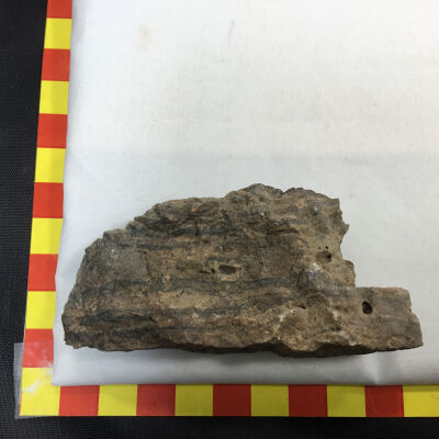 Rhyolite Lava
