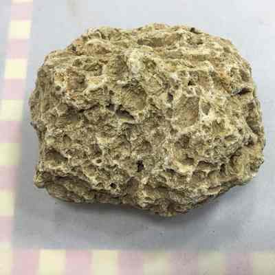 Phreatic Zone Quartz Gold Ore