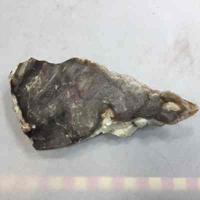 Light Opalite Florescent Bog Agate