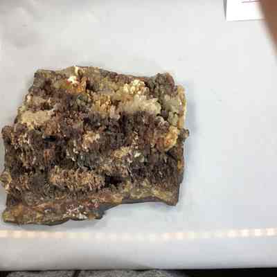 Plume Agate