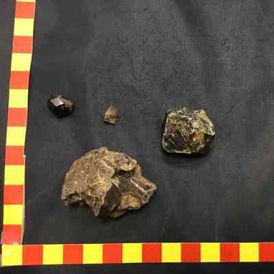 Loose Garnets (4pcs)