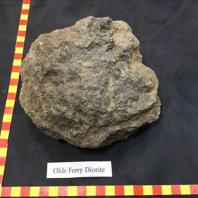 Fine Grained Diorite
