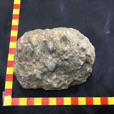 Conglomerate