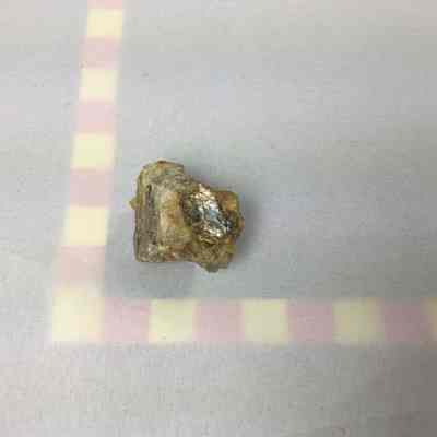 Micro Gold and Smoky Quartz