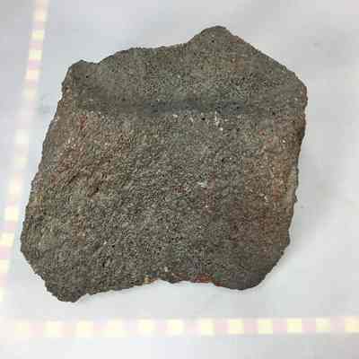 Agatized Bone