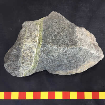 Marine Sandstone Greywacke