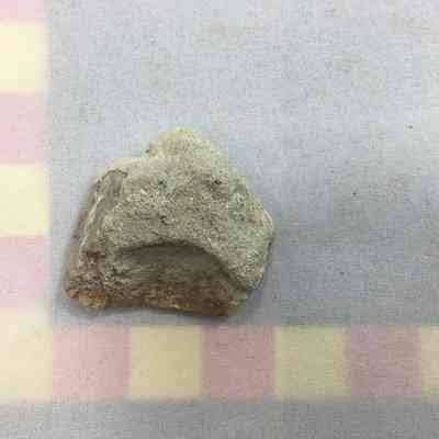 Quartz Clast