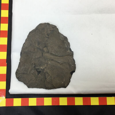 Digging Tool