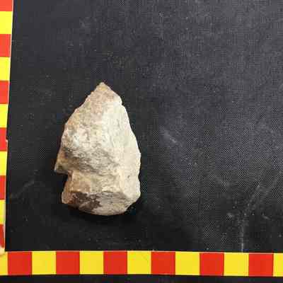 Calcite-covered clast
