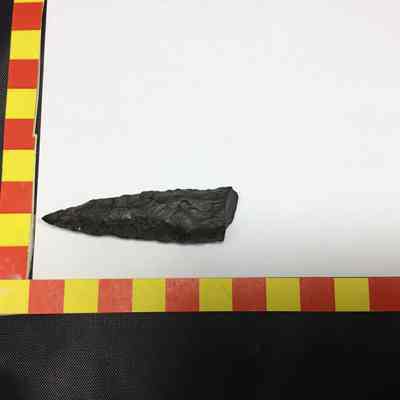 Projectile Point