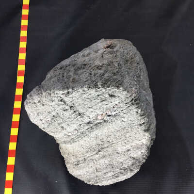Pumice