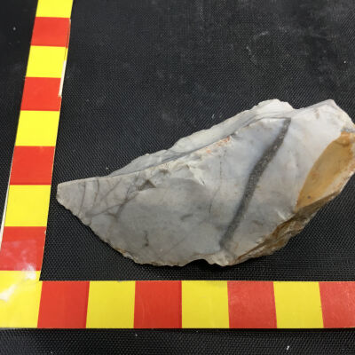 Grindstone Butte Chert