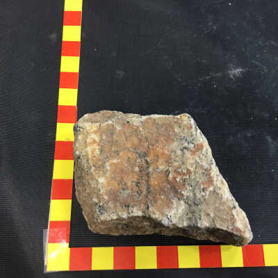 Granitoid Gneiss