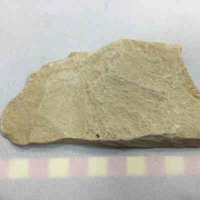 Volcanic Ash