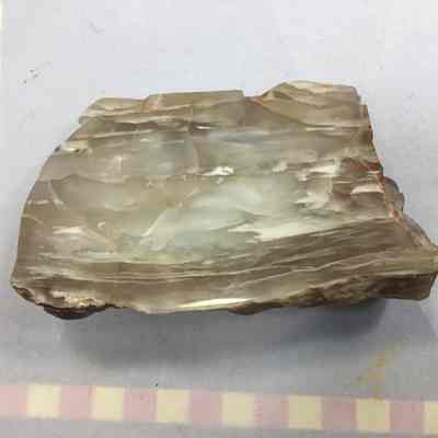Agatized Petrified Wood