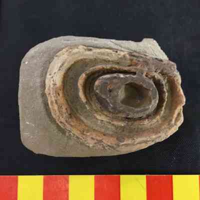 Multilayered Concretion