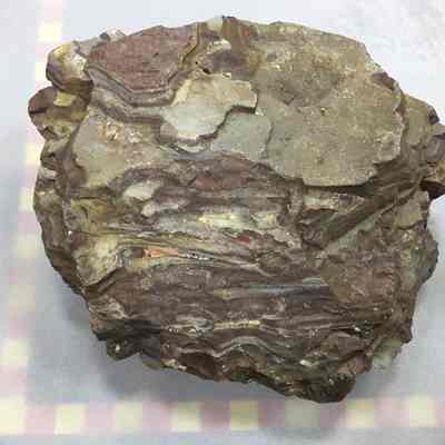 Banded Rhyolite w Opal Inclusions