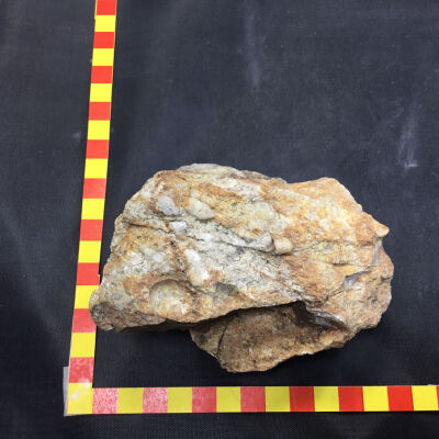 Conglomerate