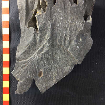 Volcanic Basalt