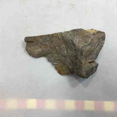 Andesite clast