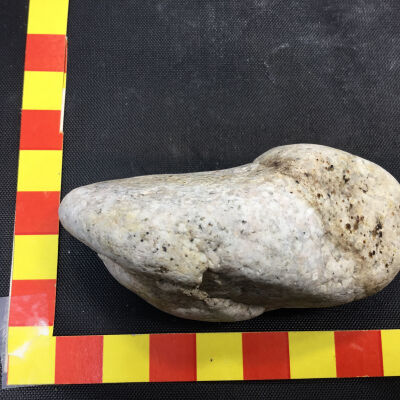 Granite Clast