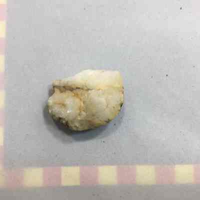 Quartz Beach Clast