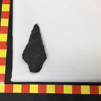 Hide Perforating Tool Basalt