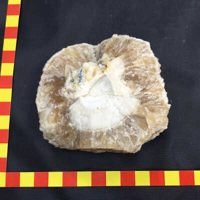 Calcite Nodule (Broken)