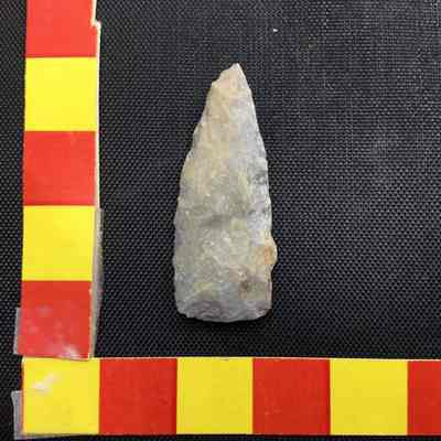 Fishing Projectile Point Chert