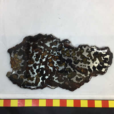 Sericho Stony Iron Pallasite
