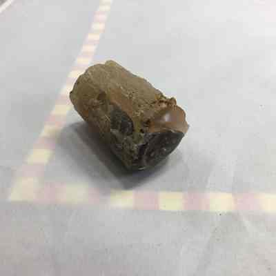 Agate Limb Cast