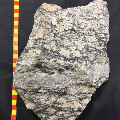 Augen Gneiss