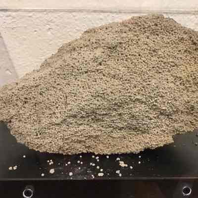 Oolite