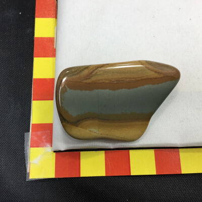 Owyhee Picture Jasper