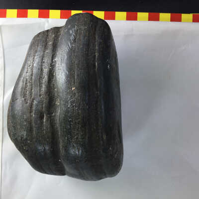 Basalt