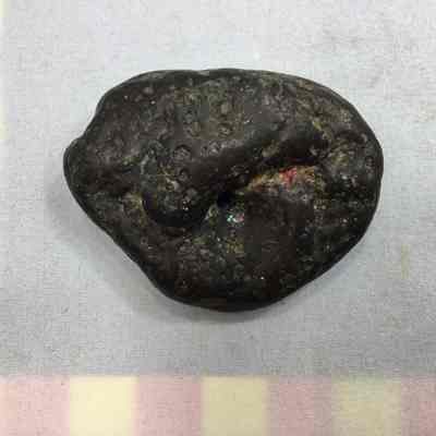 Paiute Memory Stone