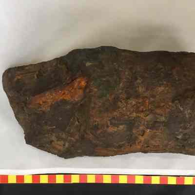 Bog Iron