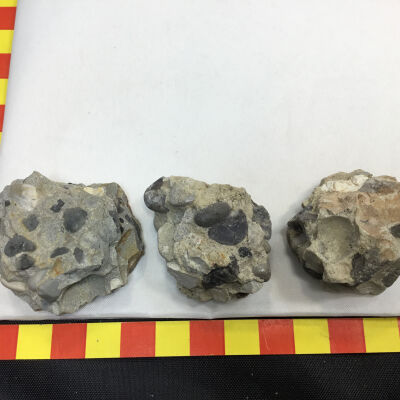 Conglomerate