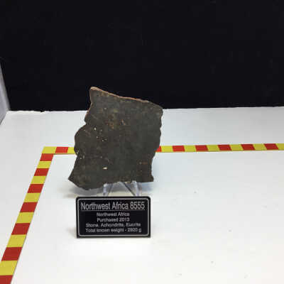 Northwest Africa 8555 Meteorite