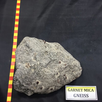 Gneiss Garnet