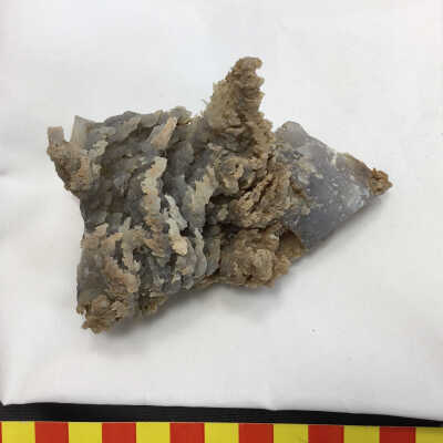 Fancy Moss Agate