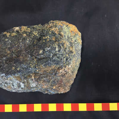 Bornite