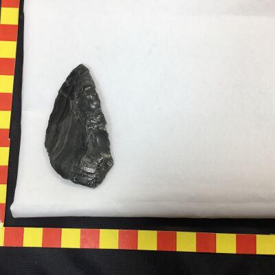 Megafauna Point