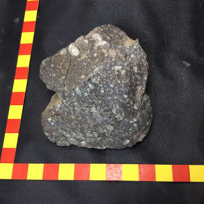 Porphyritic Andesite