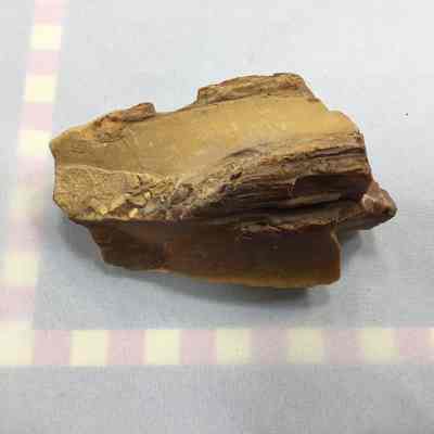 Idaho Yellow Jasper Petrified Wood