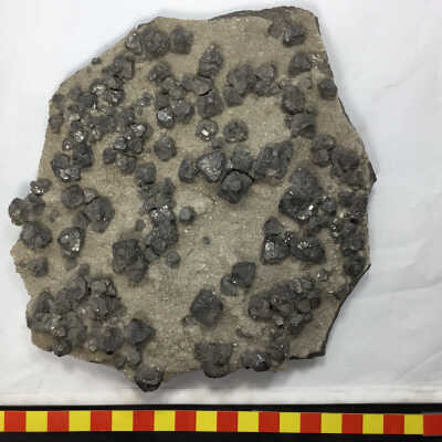 Lead Sulphide